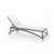 Tortora white